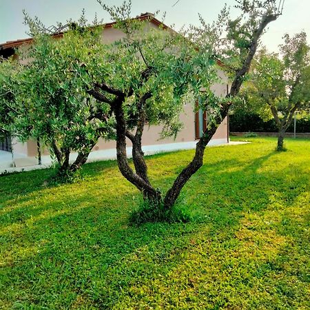 Il Melograno Apartment ลุคคา ภายนอก รูปภาพ